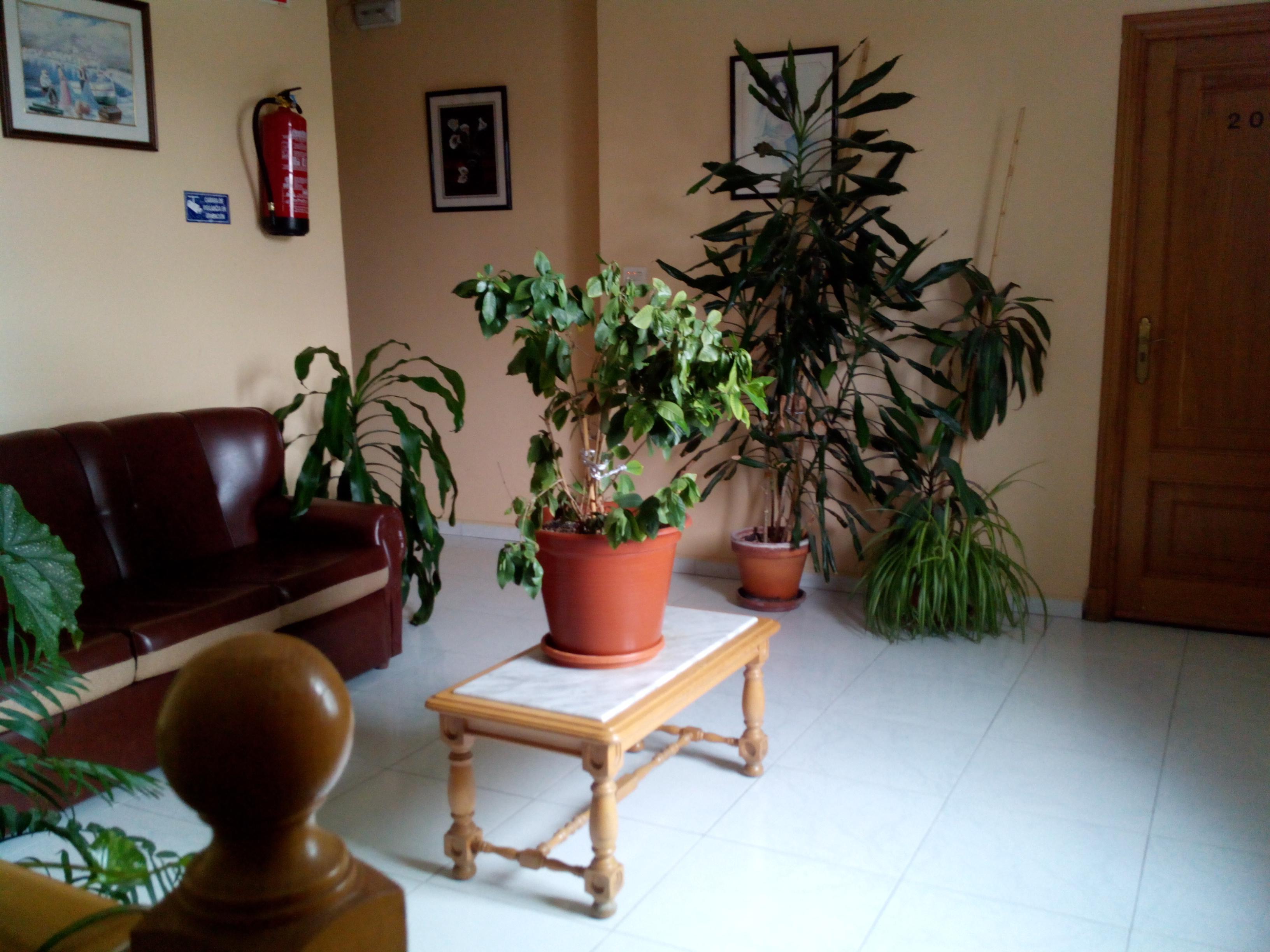 Hostal Sequeiros Сан-Сиприан-де-Виньяс Экстерьер фото